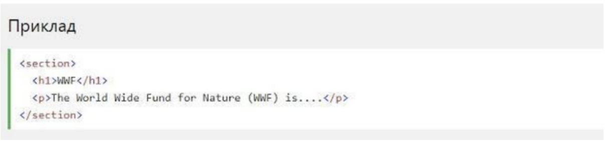 section tag in code